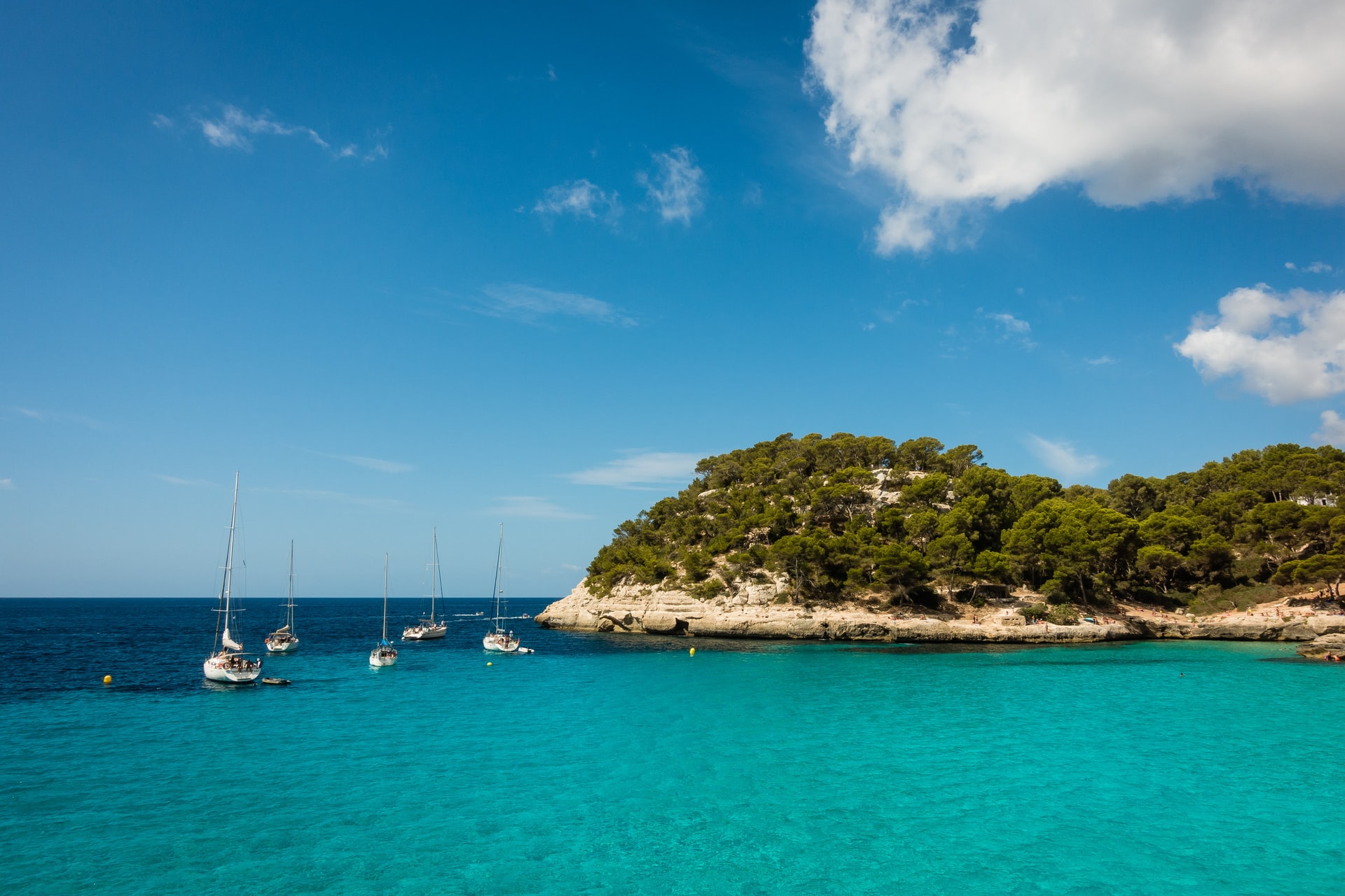 sailboats in sea