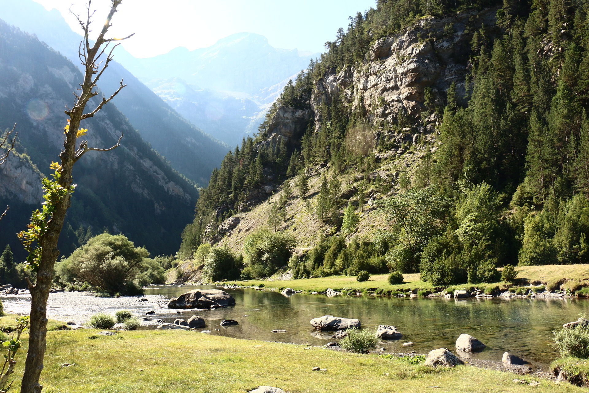 mountain valley with stream